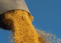 Болгария жалуется в Еврокомиссию на украинское зерно.
