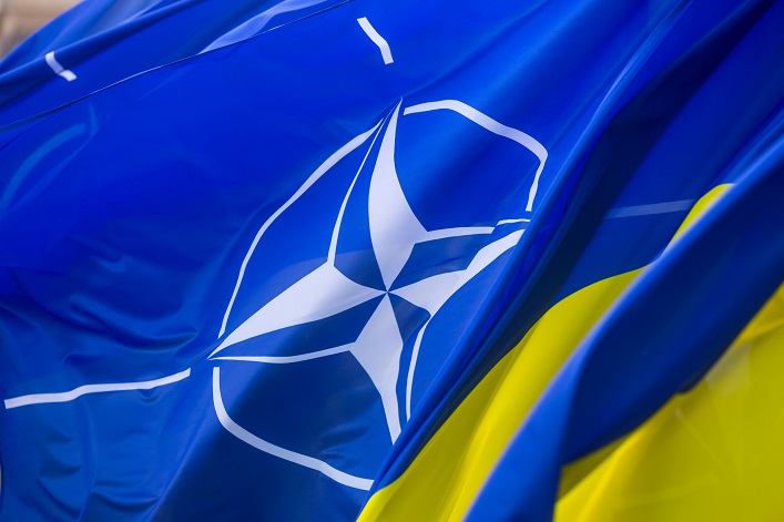 Das ukrainische Parlament hat an die NATO-Mitgliedstaaten appelliert, den Beitritt der Ukraine zum Bündnis zu unterstützen.