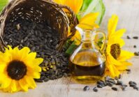 Grain crisis: the EC has banned the import of Ukrainian sunflower oil to Poland, and Hungary imposed an embargo on 25 types of Ukrainian foods.