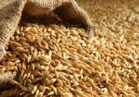 Україна та Єврокомісія створять Консультаційну групу для моніторингу проблемних питань щодо експорту українського зерна.