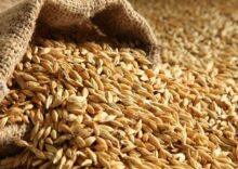 France and Germany are against the further ban on Ukrainian grain imports.
