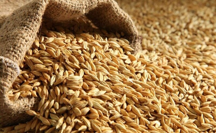 France and Germany are against the further ban on Ukrainian grain imports.
