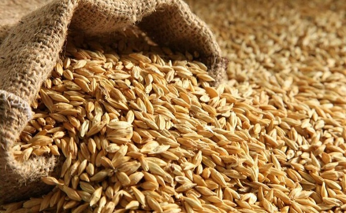 Ukraine and the European Commission will create a consultative group to monitor issues related to the export of Ukrainian grain.