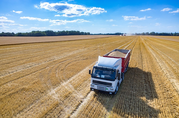Ucrania está lanzando un corredor de cereales con Rumania, por donde ya transita el 60% de las exportaciones de cereales.