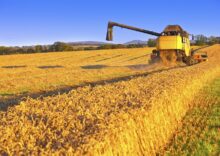 This year, Ukraine grew 6% of the world’s grain production.