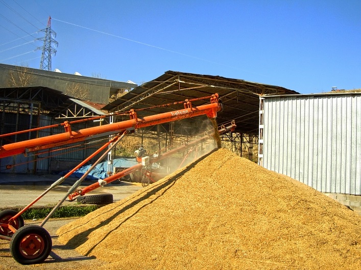 На Закарпатье построят сухой порт для экспорта зерна в Европу.
