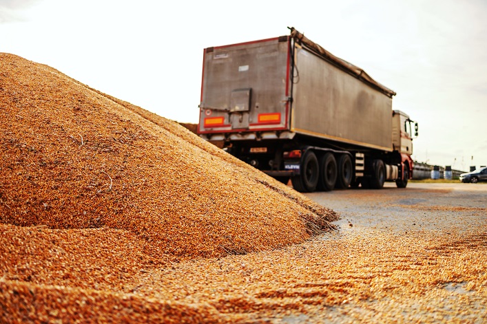 За час війни Росія викрала з України близько 4 млн тонн зерна, краде й покупців.