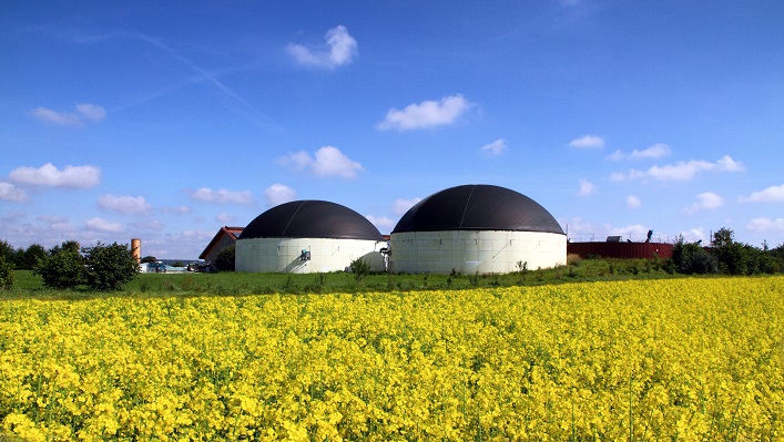 What biogas projects are being developed in Ukraine?