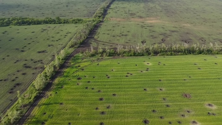 L’Ukraine perdra 8 milliards de dollars par an en raison des terres agricoles minées.