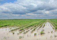 Les pertes agricoles dues à la catastrophe du HPP de Kakhovka pourraient dépasser 10 milliards de dollars, et les dommages environnementaux dépassent déjà 55 milliards de UAH,