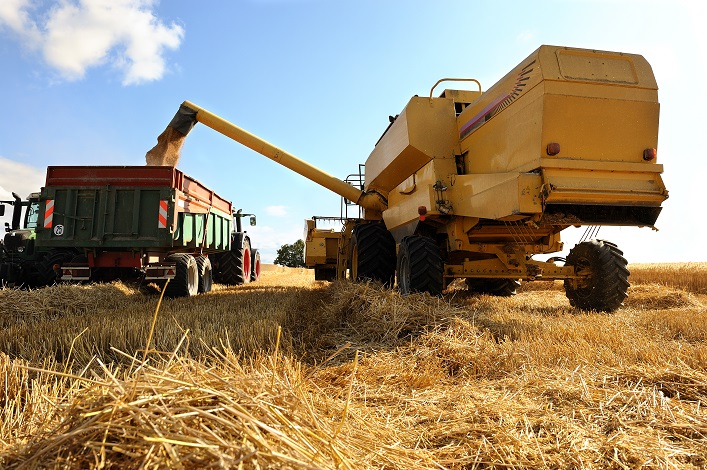Ukrainian farmers expect a high wheat yield this year. 