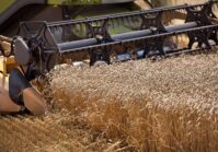 Ukrainian farmers predict a 36% reduction in grain and oilseed crops.