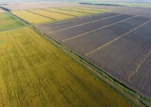Земля в Україні продається за свідомо заниженими цінами.