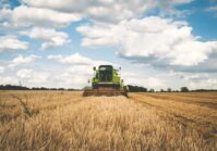 Ukraińscy rolnicy zarobili na nowych zbiorach o 77% mniej niż oczekiwano.
