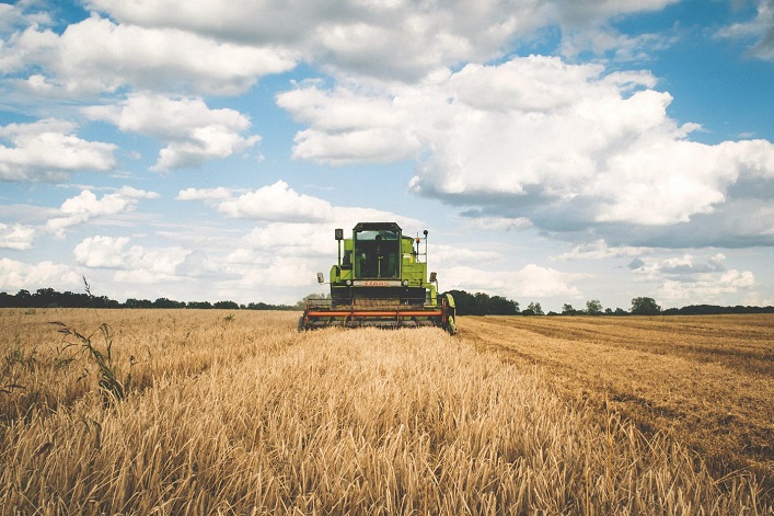 Die ukrainischen Landwirte erwirtschafteten mit der neuen Ernte 77% weniger als erwartet.