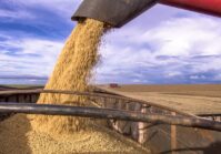 Die EU warnt vor schwierigen Beitrittsverhandlungen mit der Ukraine über Getreideexporte.