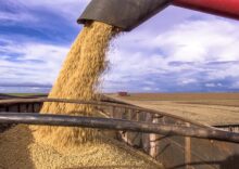 Germany continues to work on alternative routes for Ukrainian grain exports.