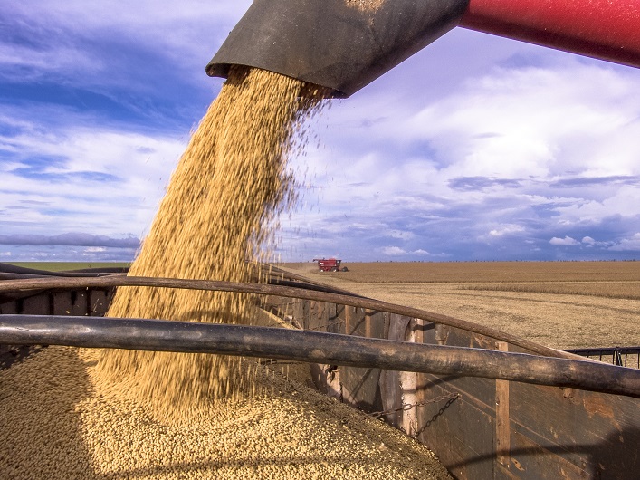 Ukraine hopes to resolve the situation with the EU grain embargo, and the US promises to help with grain export.