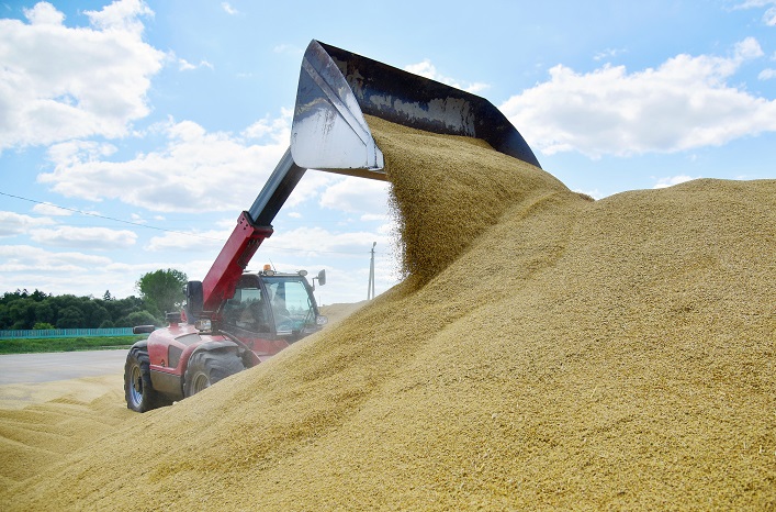 The US and its allies are working with Ukraine on alternative routes to deliver grain.