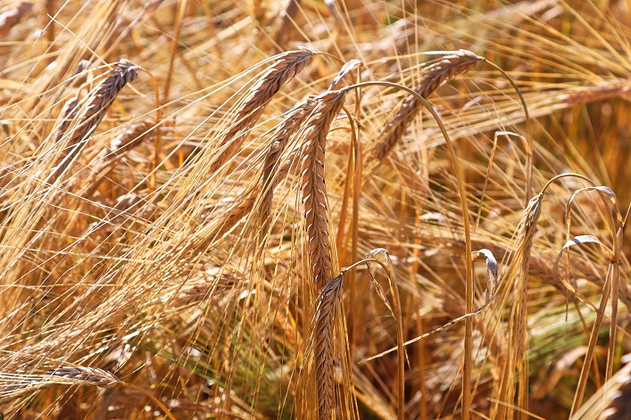 EU officials will discuss the import of agricultural products from Ukraine this week in Warsaw.