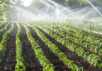 Japan will help Ukraine restore and modernize irrigation systems.