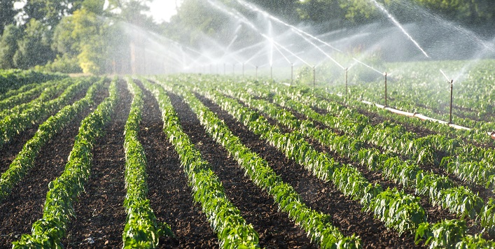 Le Japon aidera l’Ukraine à restaurer et à moderniser les systèmes d’irrigation. 