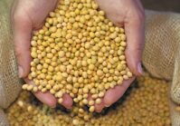 Ucrania ha aumentado las exportaciones de soja a un nivel récord.