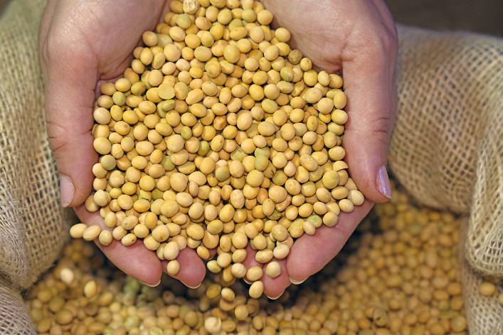 Ukraine has increased soybean exports to a record high.