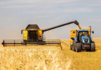 L'Ukraine a déjà récolté 16,6 millions de tonnes de nouveaux grains et améliore ses prévisions. 