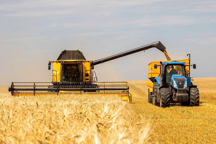 L’Ukraine a déjà récolté 16,6 millions de tonnes de nouveaux grains et améliore ses prévisions. 