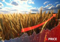 Attacks on Russian ships in the Black Sea have led to wheat prices increasing.
