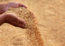 Ukrainian barley will be exported through Romania, and Lithuania wants financial support from the EU to transport grain through its ports.