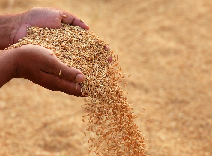 Україна оскаржить зернове ембарго ЄС у разі його продовження.