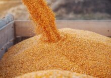 The EC has rescinded the Ukrainian grain embargo, but unilateral restrictions will remain.