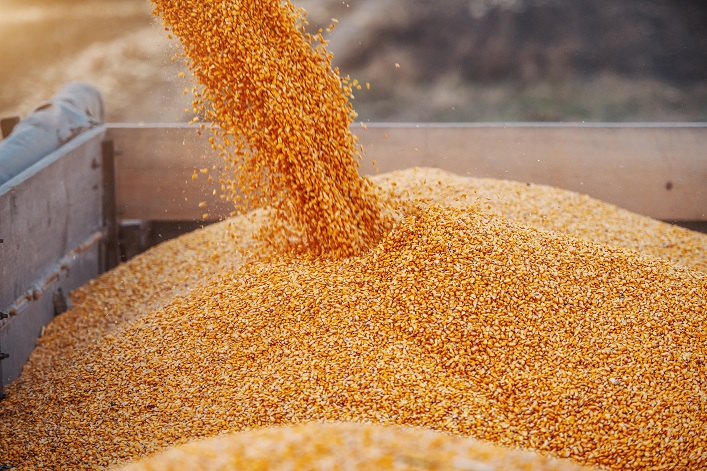 Five EU countries will demand an extension of the grain embargo through the end of this year.