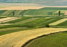 Земельний банк Фонду держмайна України поповнився 100 000 га аграрних земель.