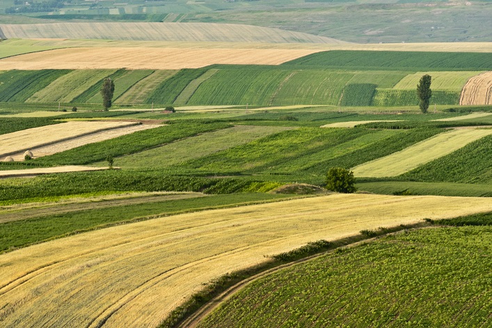 El Fondo de Propiedad Estatal presenta un plan para transferir tierras agrícolas estatales al Banco de Tierras de Ucrania.