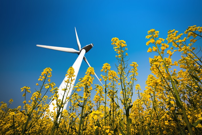 Un comerciante de combustibles y un gigante agrícola planean invertir en generación de energía verde en Ucrania.