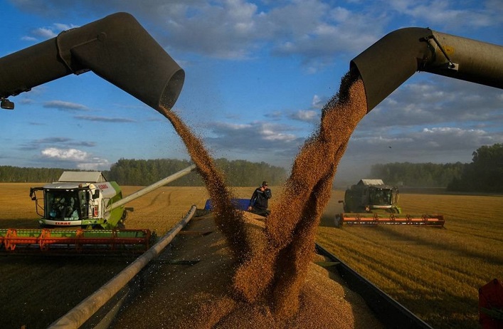 In the current trading season, Ukraine’s agricultural exports decreased by 27%, and farmers’ annual losses will reach $3B.
