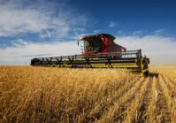 Ukraine has harvested 33 million tons of new crop grain and exported 4.5 million tons.