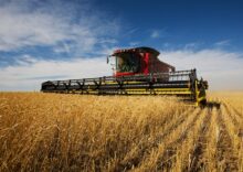 Україна вже зібрала 33 млн тонн зерна нового врожаю та експортувала 4,5 млн тонн.