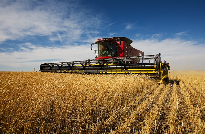 Ukraine has harvested 33 million tons of new crop grain and exported 4.5 million tons.