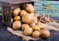 Ukraine has increased its export of potatoes and meat.