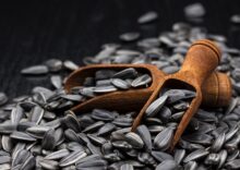 Bulgaria will ban Ukrainian sunflower seeds, Slovakia considers the export control system acceptable, and Ukraine expects to expand its access to Baltic ports.