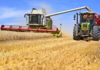 Україна зібрала 52,5 млн тонн зерна нового врожаю, на експорт пішло 7,5 млн тонн.