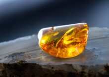 Legal extraction of amber in Ukraine has increased by 1,400%; the state issued more than 400 permits for subsoil use.