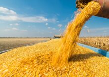 Due to Russian aggression this year, Ukraine exported 26.4% less grain.