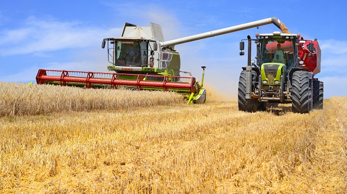 Die Ukraine wird 75% ihrer Getreideernte auf ausländische Märkte liefern.