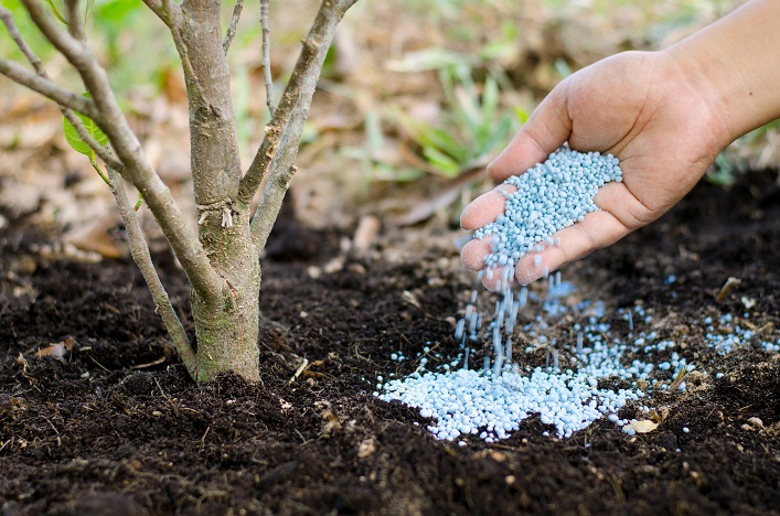 Epicentr Agro inició la construcción de una planta para producir fertilizantes.