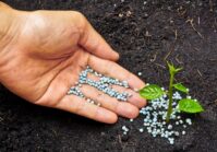 Ukraine is increasing the production of fertilizers.